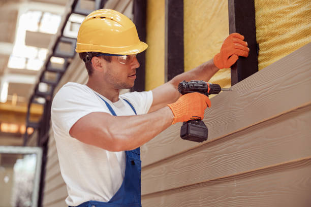 Best Vinyl Siding Installation  in Bridgewater, VA